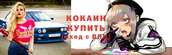 дживик Богородск