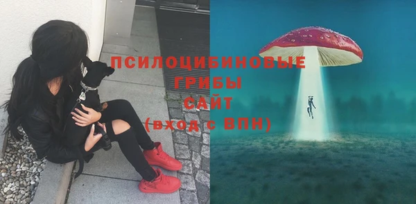 круглые Богданович