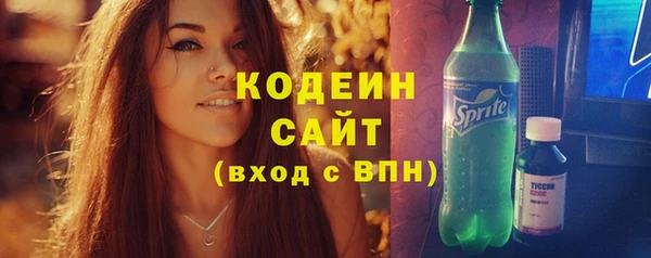 дмт Богородицк