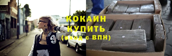 дживик Богородск