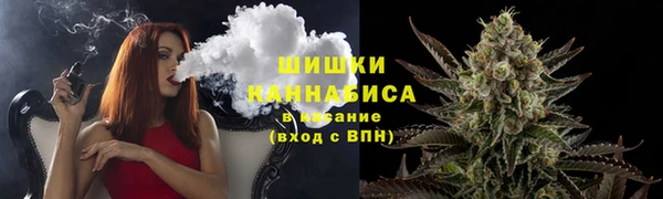 дмт Богородицк