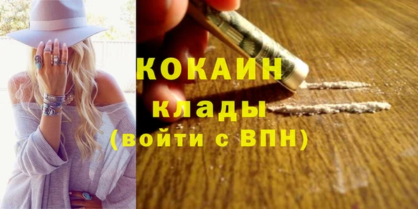 дмт Богородицк