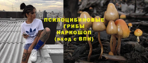 круглые Богданович