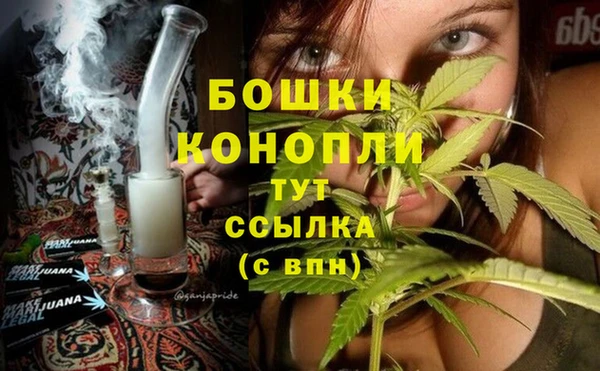 дмт Богородицк